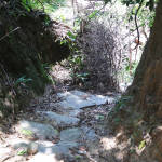 Path before exiting the Mini Cuidad Perdida