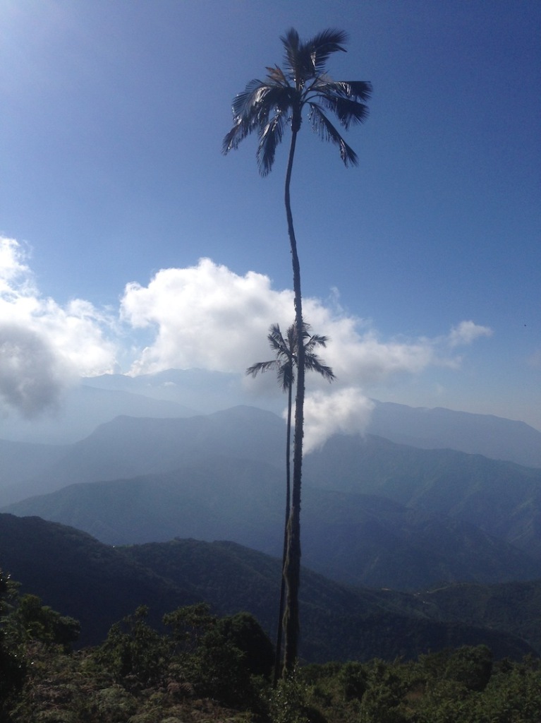 The Sierra Nevada de Santa Marta, one of the most important nature reserves on the globe, close to Paso del Mango