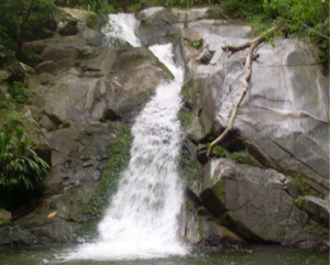 Waterfall between Minca and Paso del Mango
