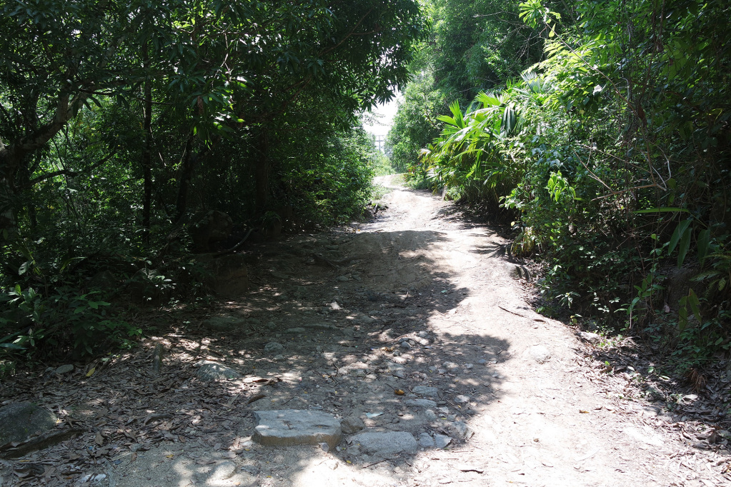 Road in Paso del Mango