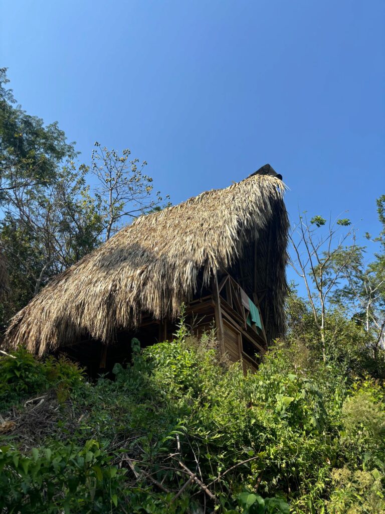 TREE HUT