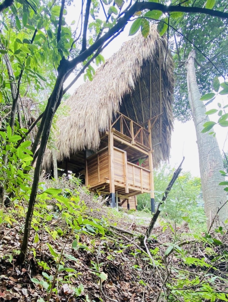 TREE HUT